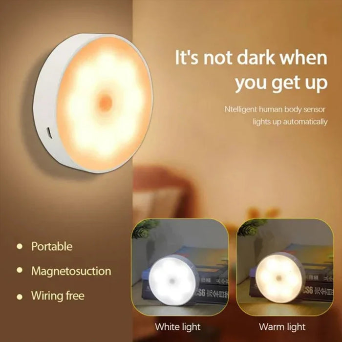 Intelligent induction motion sensor lamp
