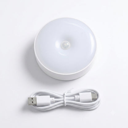 Intelligent induction motion sensor lamp