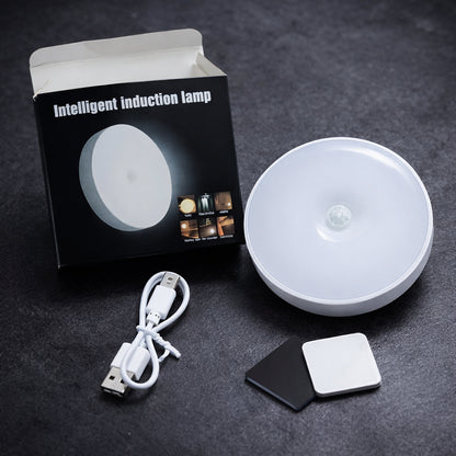 Intelligent induction motion sensor lamp
